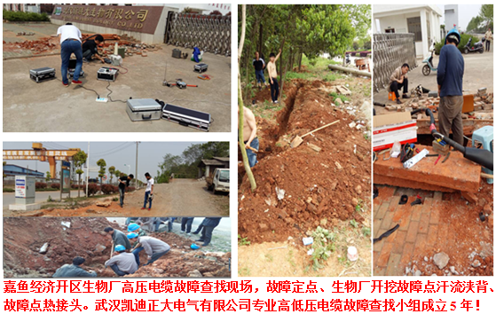 黄瓜视频在线免费观看检测