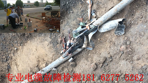黄瓜视频在线免费观看点找到.jpg