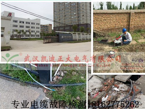 专业黄瓜视频在线免费观看检测.jpg