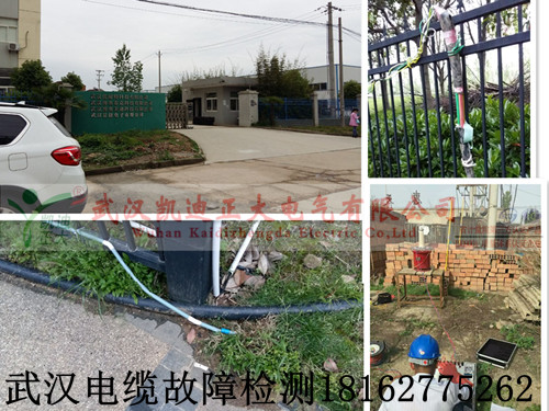 武汉黄瓜视频在线免费观看检测.jpg