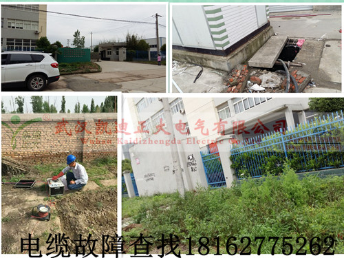高压黄瓜视频在线免费观看检测.jpg