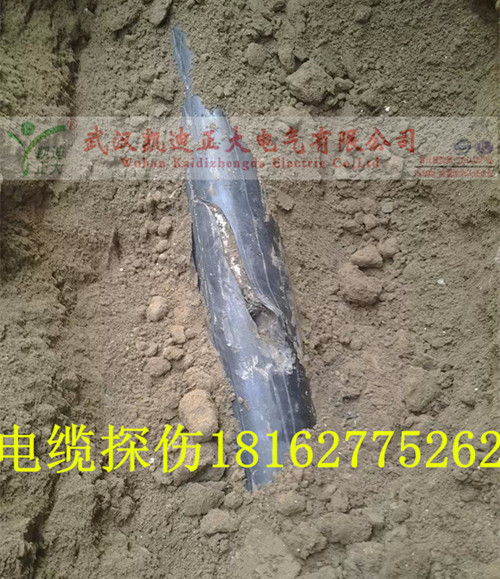 黄瓜视频在线免费观看点找出结果.jpg