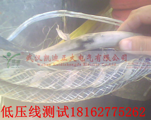 黄瓜视频在线免费观看点修补.jpg