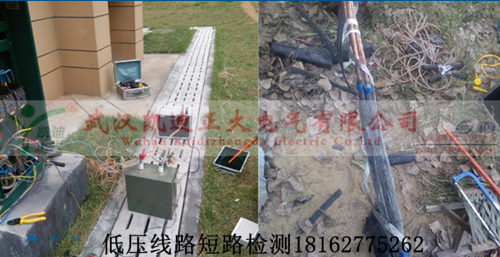 黄瓜视频在线免费观看查找图.png