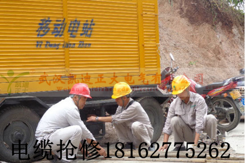 黄瓜视频在线免费观看抢修.png