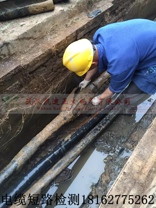 黄瓜视频在线免费观看测试.jpg