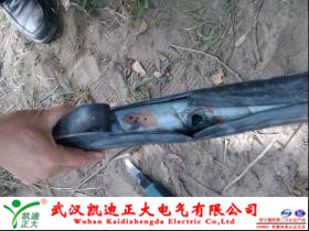 黄瓜视频在线免费观看测试点.jpg