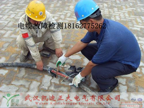 黄瓜视频在线免费观看检测.jpg