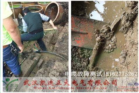 植物园黄瓜视频在线免费观看测试.jpg